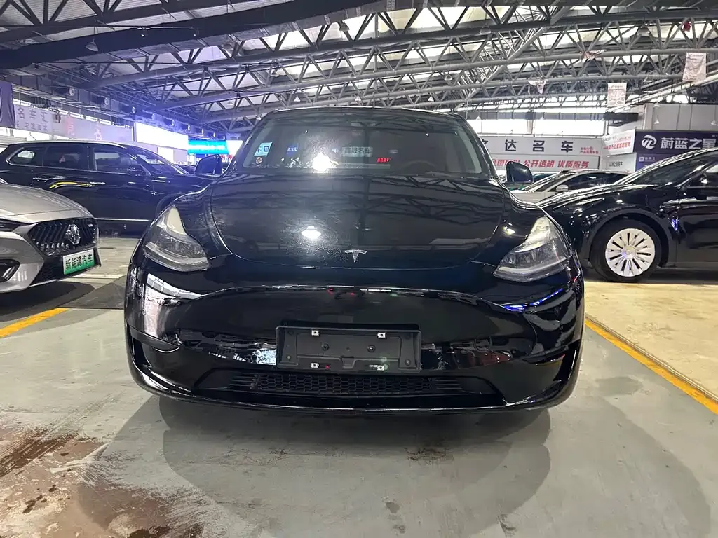 Tesla Model Y — фото 2
