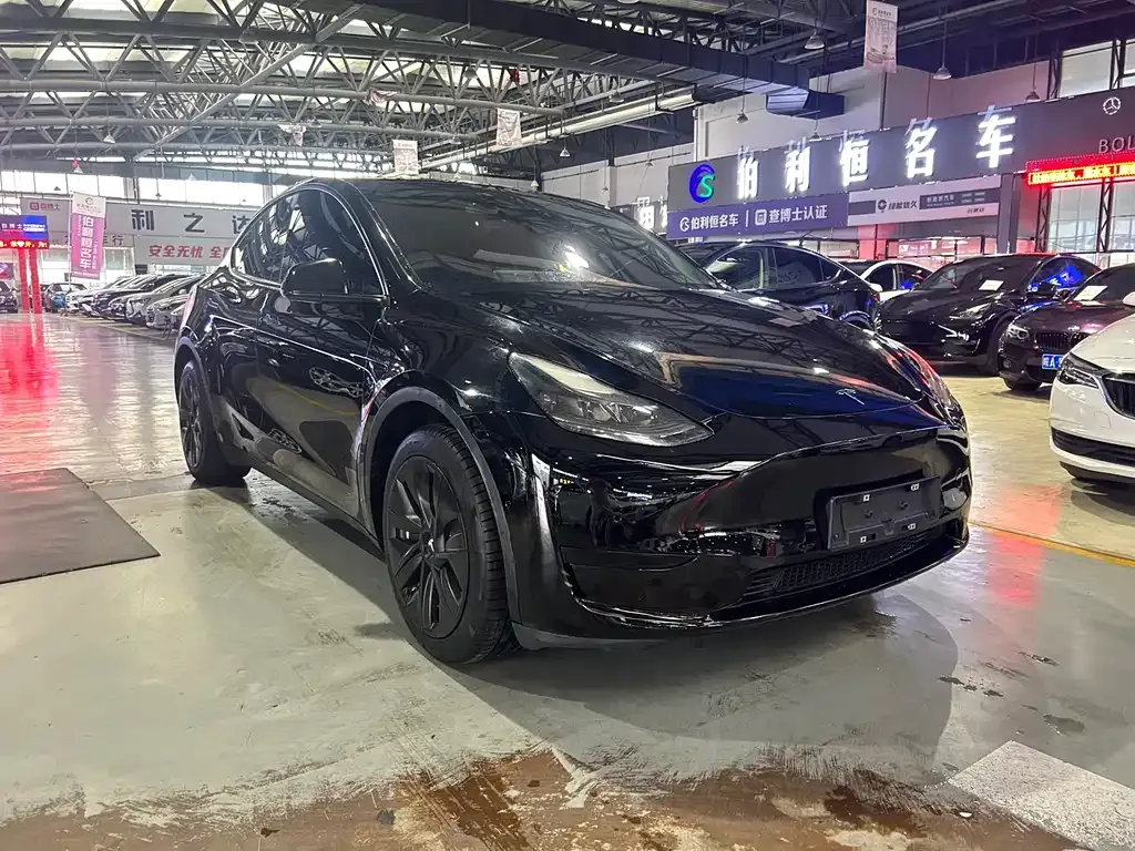 Tesla Model Y — фото 3