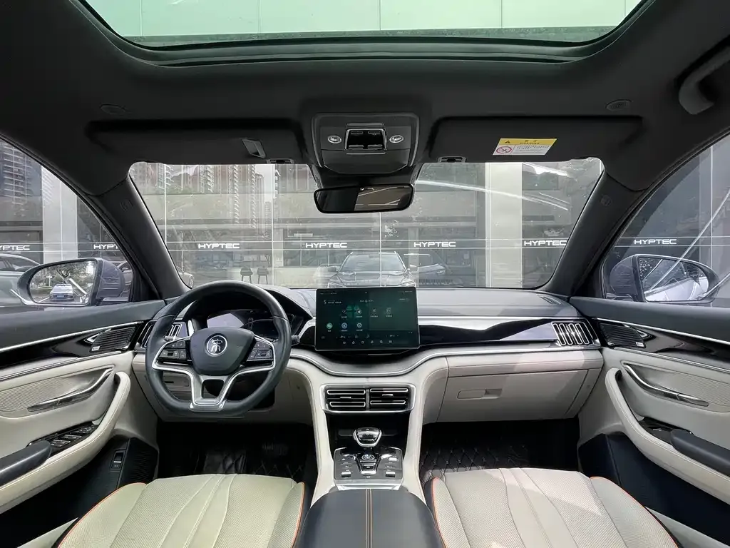 BYD PLUS New Energy — фото 6