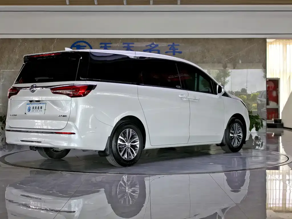 Buick GL8 — фото 5