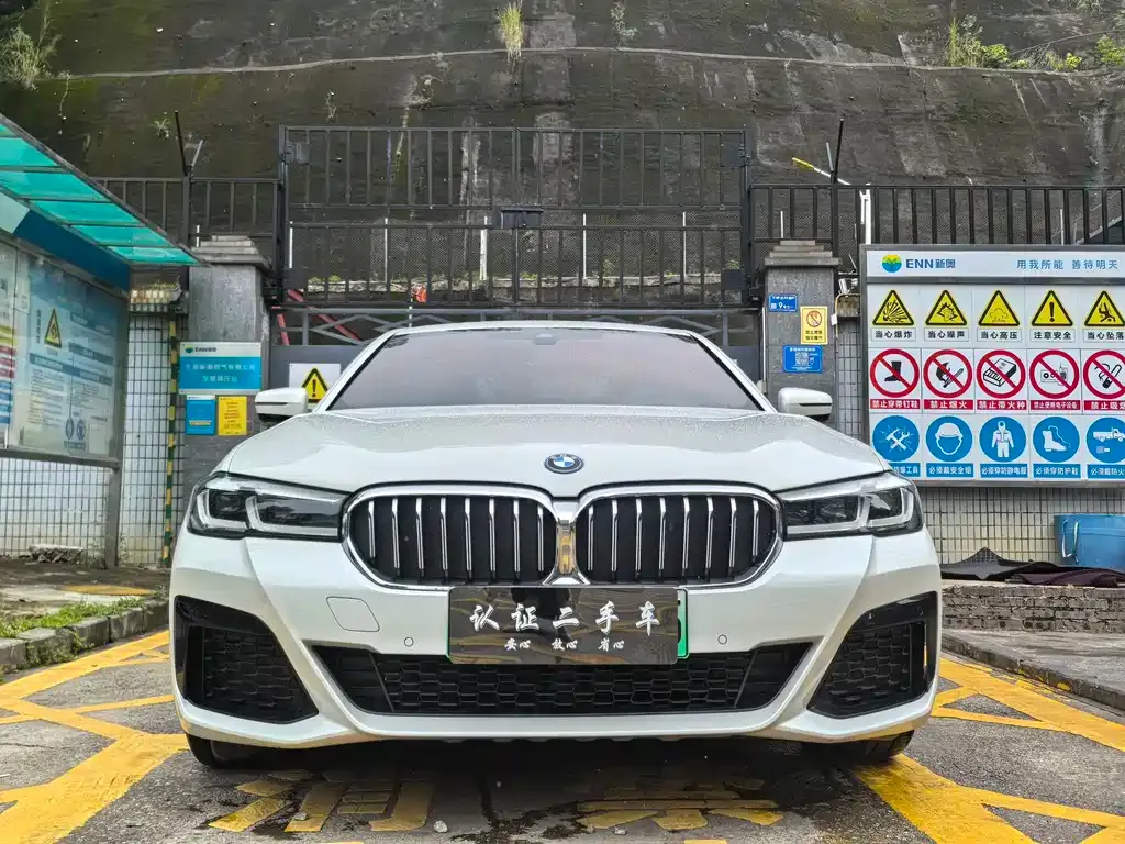 BMW 5 Series New Energy — фото 3