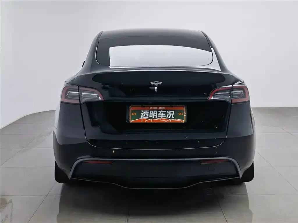 Tesla Model Y 2023 из CN, фото 4