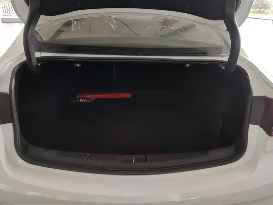 Buick Regal 2021 из CN, фото 4