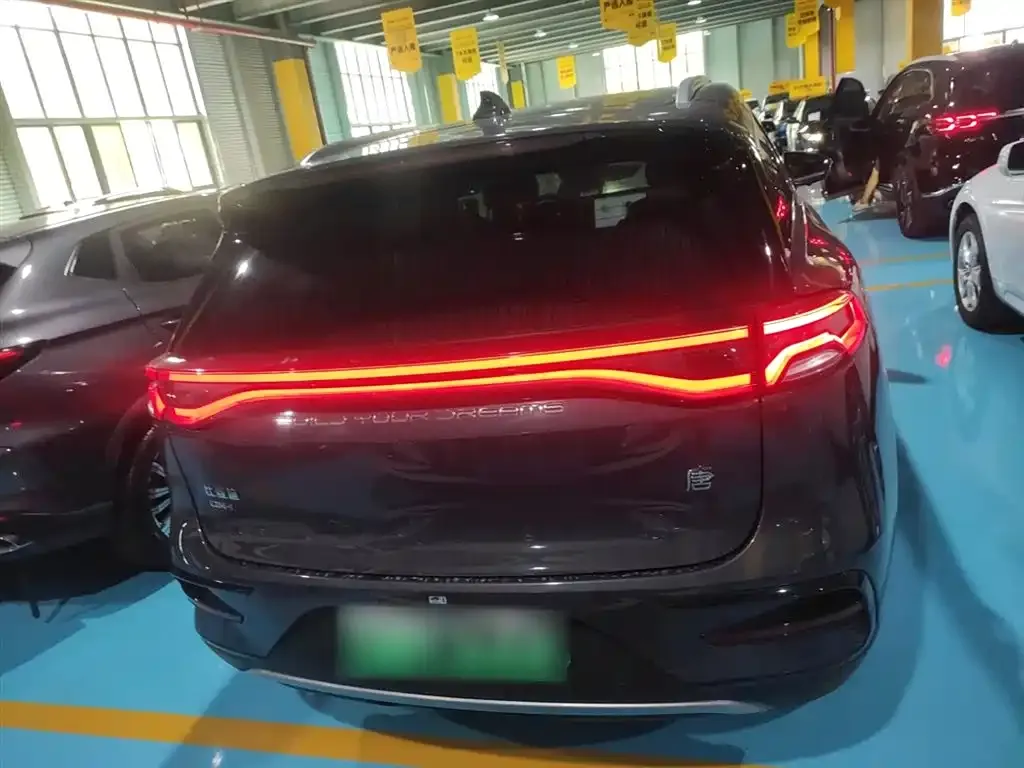 BYD Tang New Energy 2022 из CN, фото 6