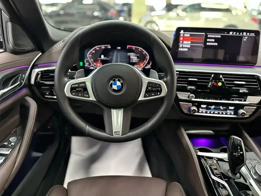 BMW 5 Series 2021 из CN, фото 10