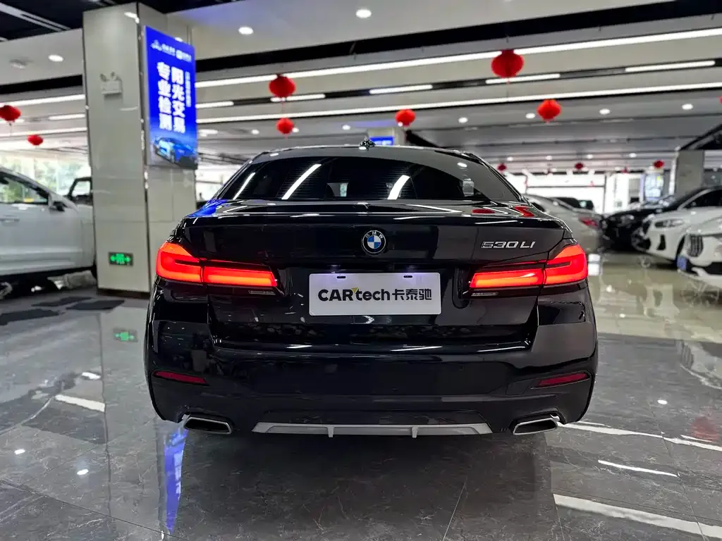 BMW 5 Series 2021 из CN, фото 5
