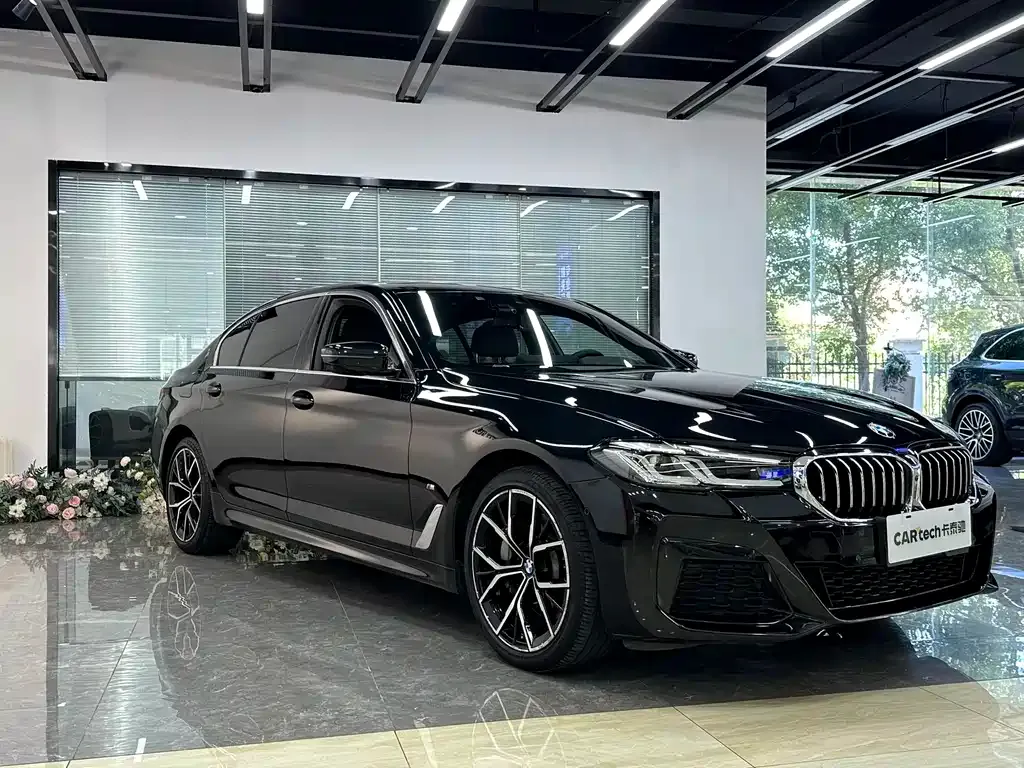 BMW 5 Series 2021 из CN, фото 6