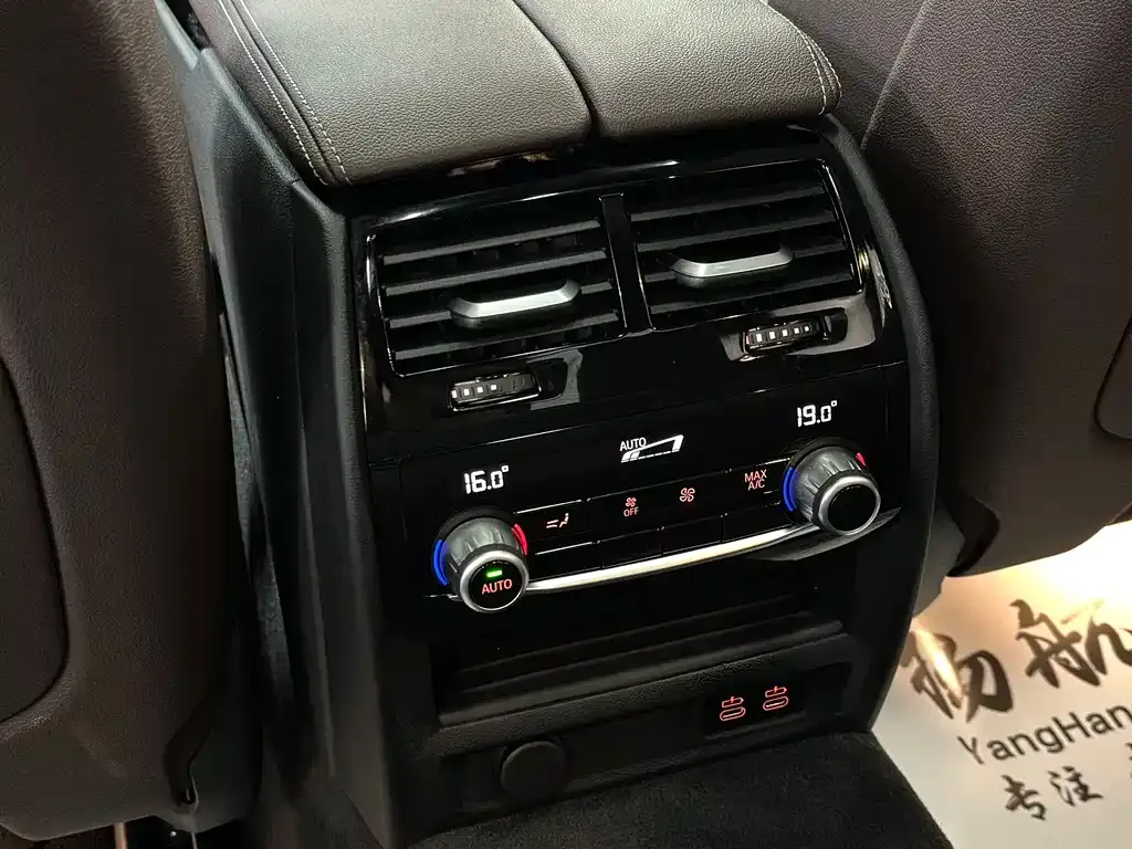 BMW 5 Series 2021 из CN, фото 7