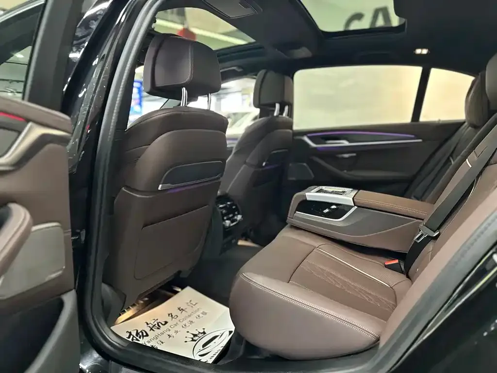 BMW 5 Series 2021 из CN, фото 8
