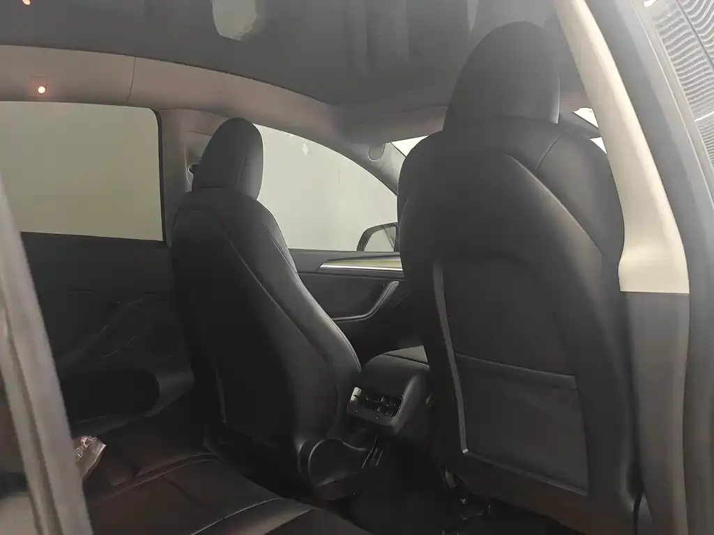 Tesla Model Y 2023 из CN, фото 10