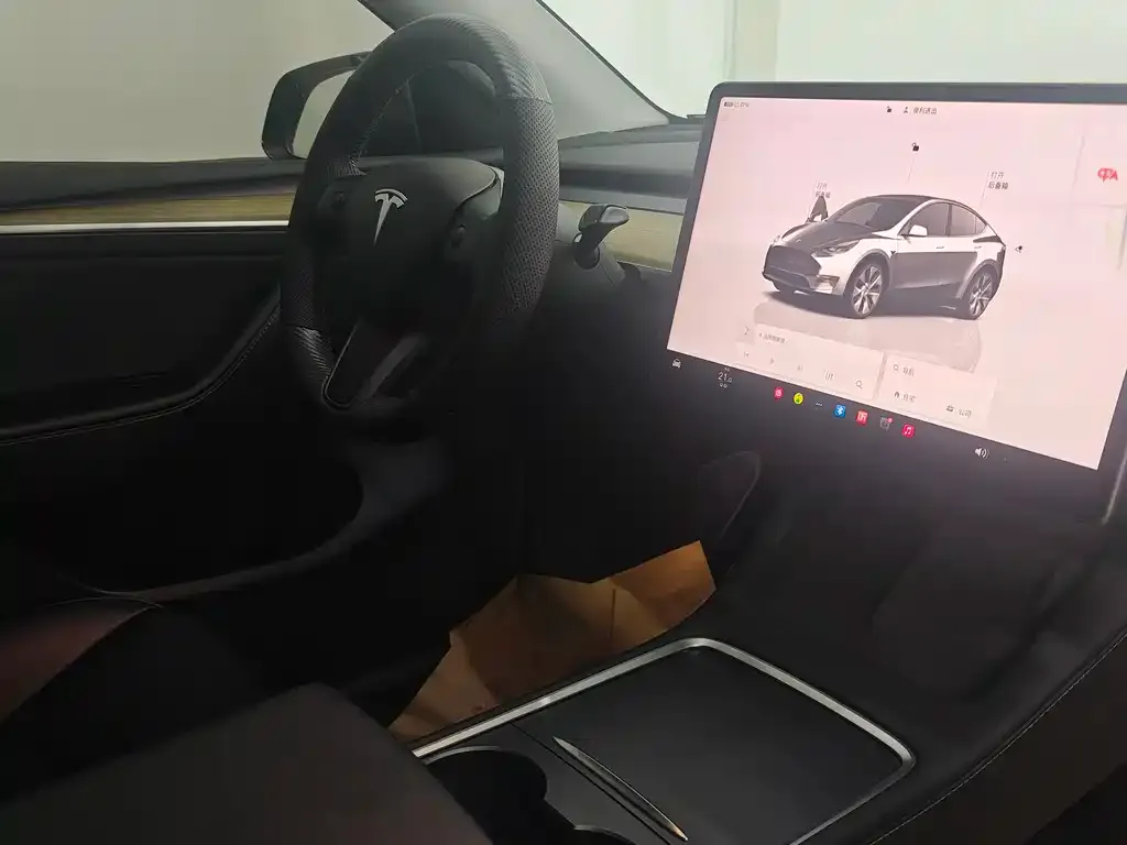 Tesla Model Y 2023 из CN, фото 5