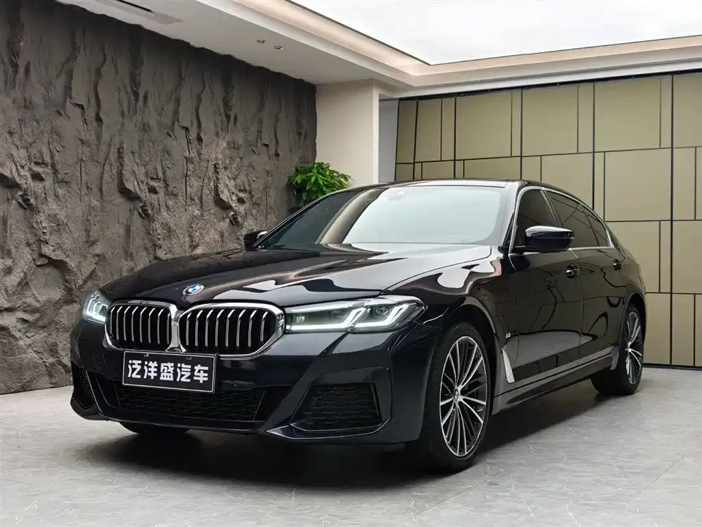 BMW 5 Series 2022 из CN, фото 1