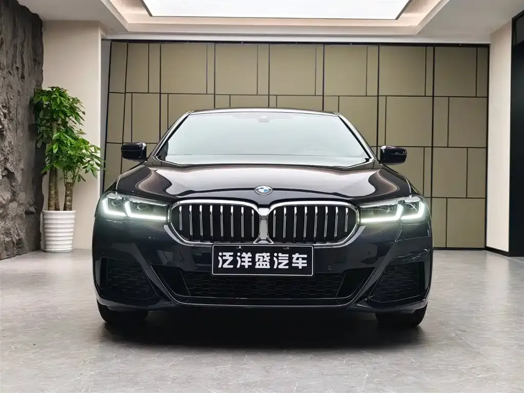 BMW 5 Series 2022 из CN, фото 2