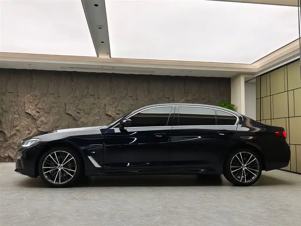 BMW 5 Series 2022 из CN, фото 3