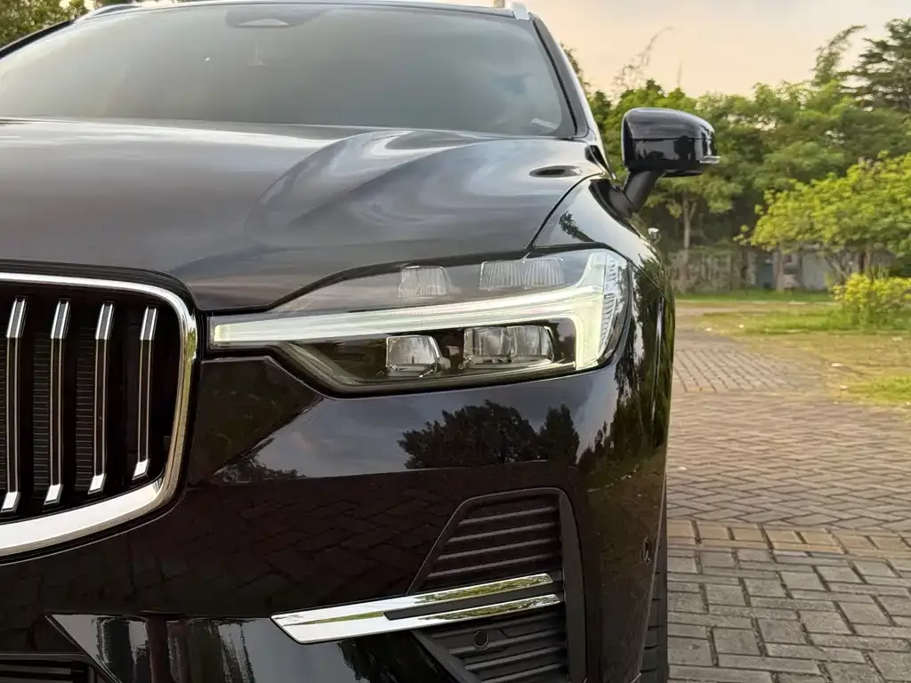 Volvo XC60 PHEV 2024 из CN, фото 9