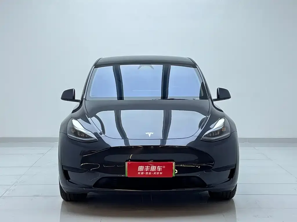Tesla Model Y 2025 из CN, фото 2