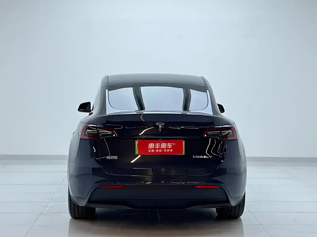Tesla Model Y 2025 из CN, фото 8