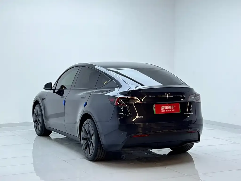 Tesla Model Y 2025 из CN, фото 9