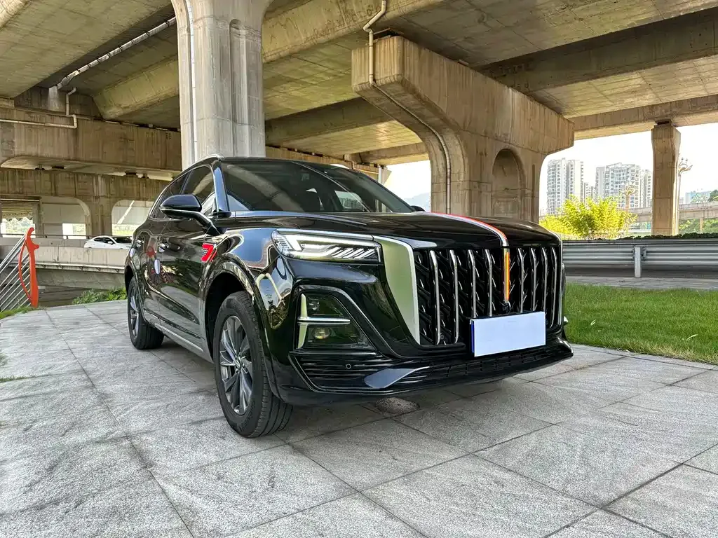 Hongqi HS5 2024 из CN, фото 3