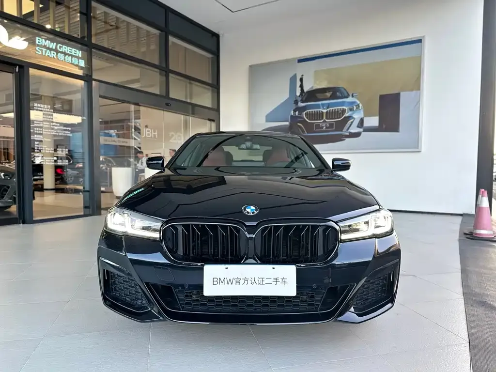 BMW 5 Series 2022 из CN, фото 3