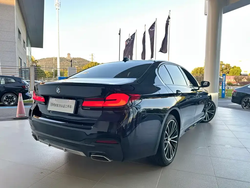 BMW 5 Series 2022 из CN, фото 4