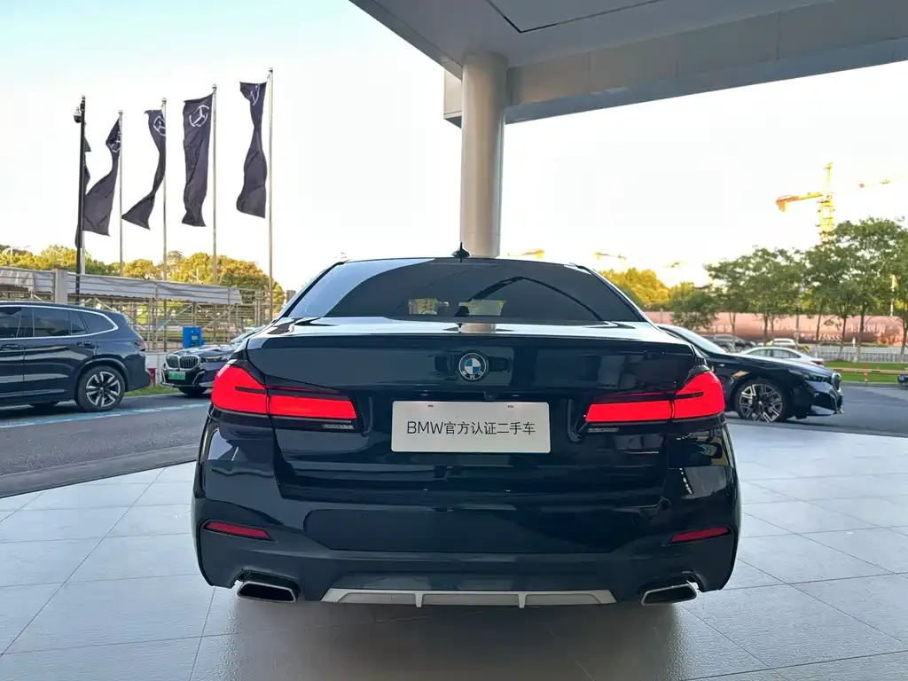 BMW 5 Series 2022 из CN, фото 5