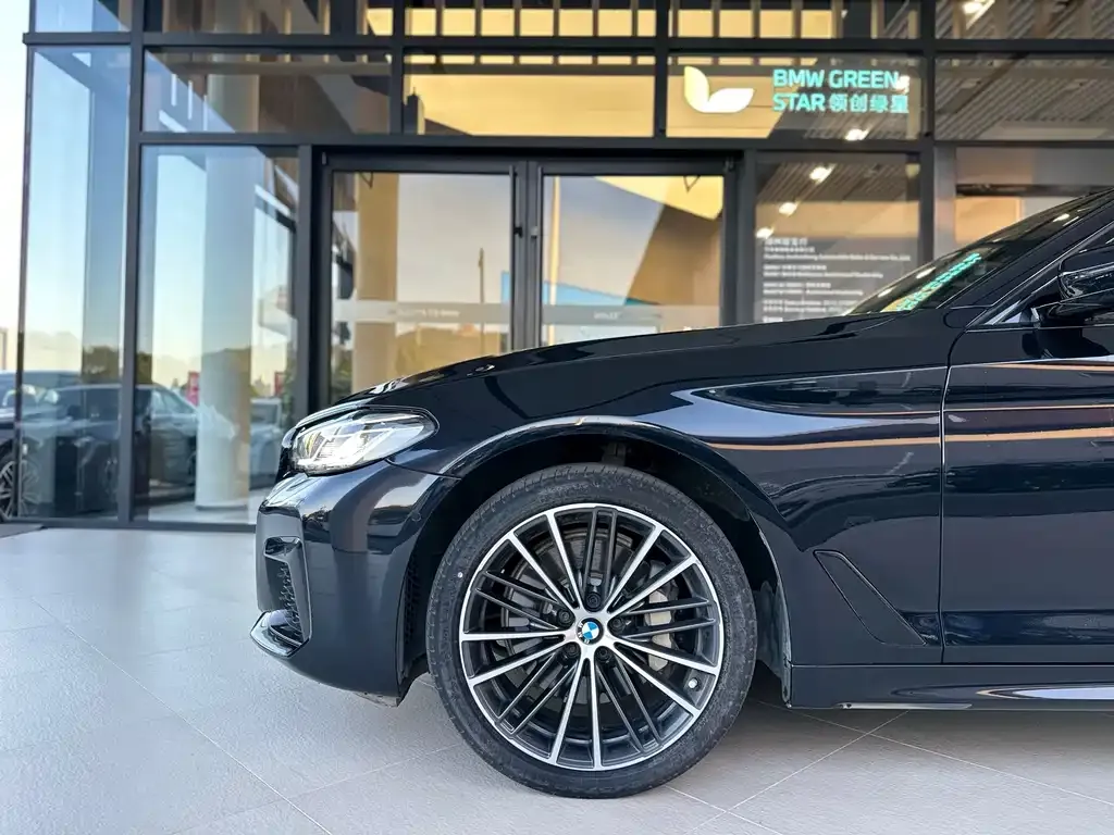 BMW 5 Series 2022 из CN, фото 6