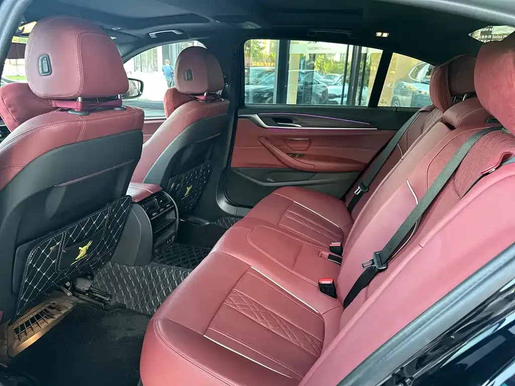 BMW 5 Series 2022 из CN, фото 9