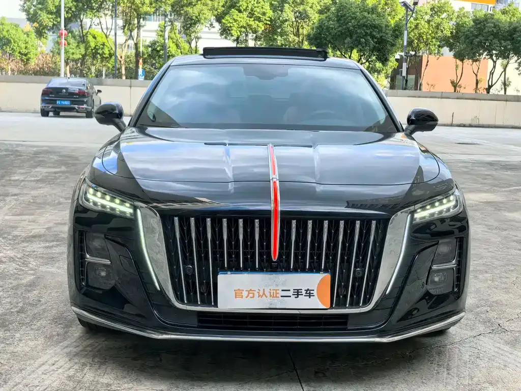 Hongqi H5 2024 из CN, фото 2