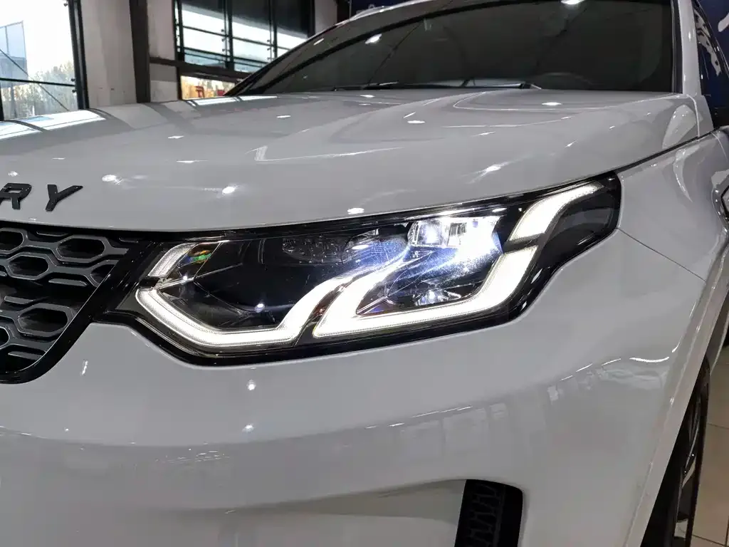 Land Rover Discovery Sport 2021 из CN, фото 4