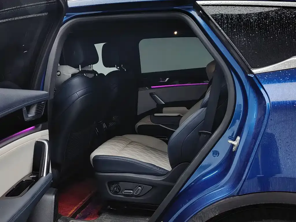 BYD Tang New Energy 2022 из CN, фото 4