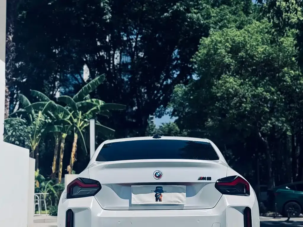 BMW M2 2023 из CN, фото 5