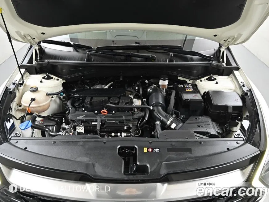 Kia Sportage — фото 6