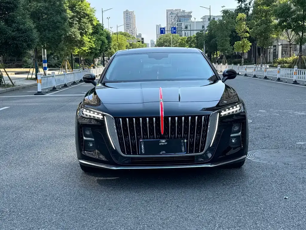 Hongqi H5 2024 из CN, фото 2