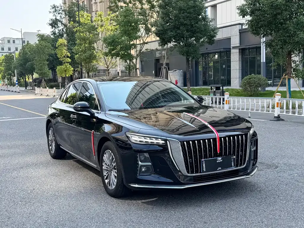 Hongqi H5 2024 из CN, фото 3