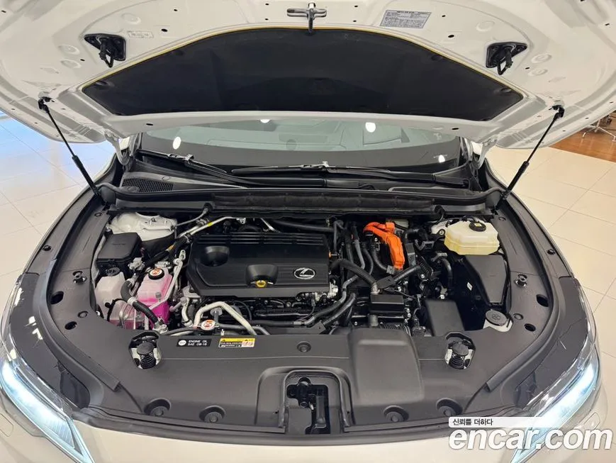 Lexus RX 2024 из KR, фото 6