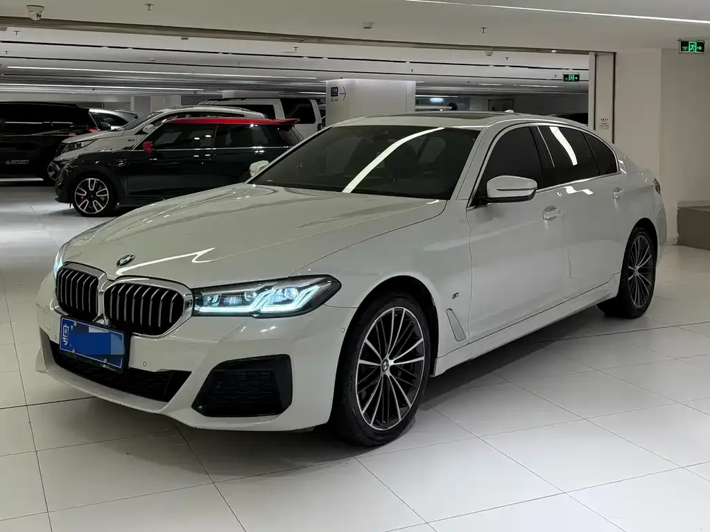 BMW 5 Series 2021 из CN, фото 1