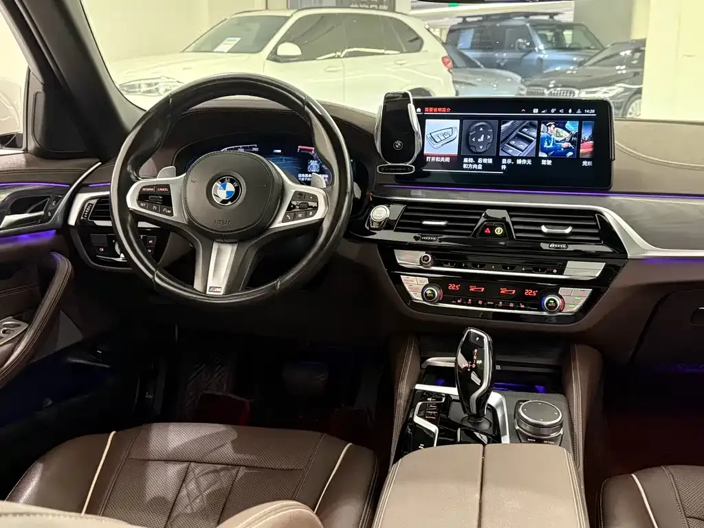 BMW 5 Series 2021 из CN, фото 10