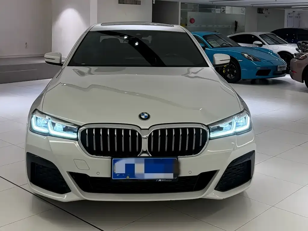 BMW 5 Series 2021 из CN, фото 2