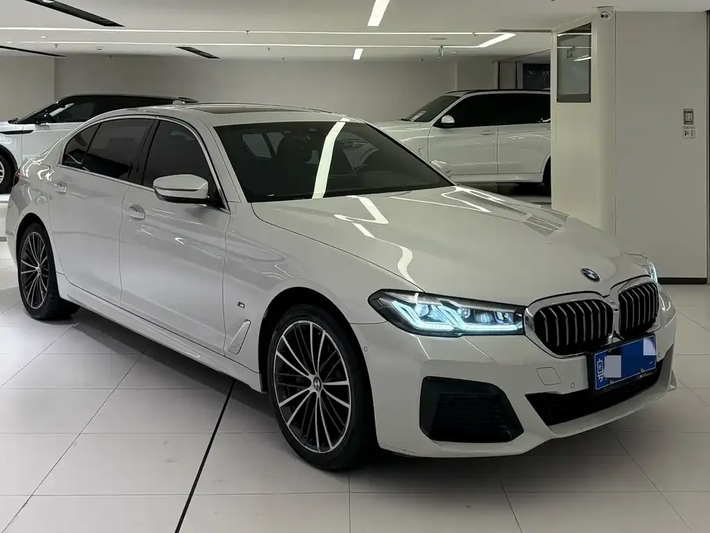 BMW 5 Series 2021 из CN, фото 3
