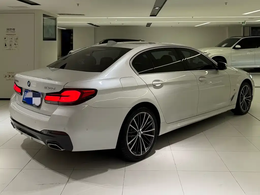 BMW 5 Series 2021 из CN, фото 4