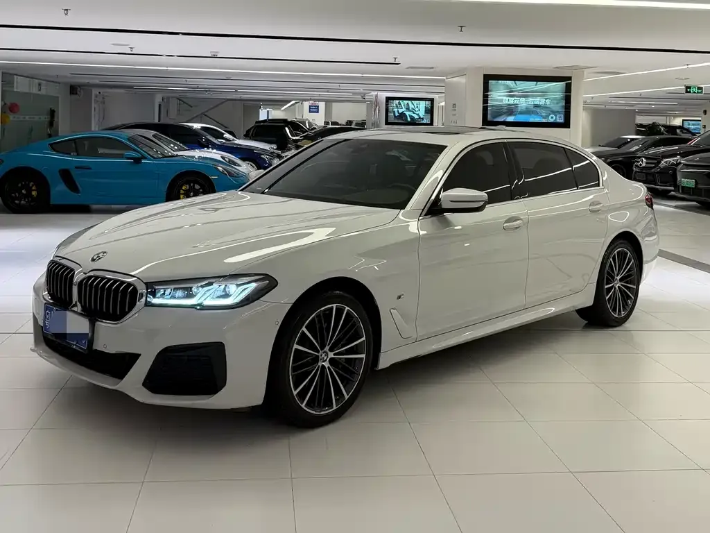 BMW 5 Series 2021 из CN, фото 5