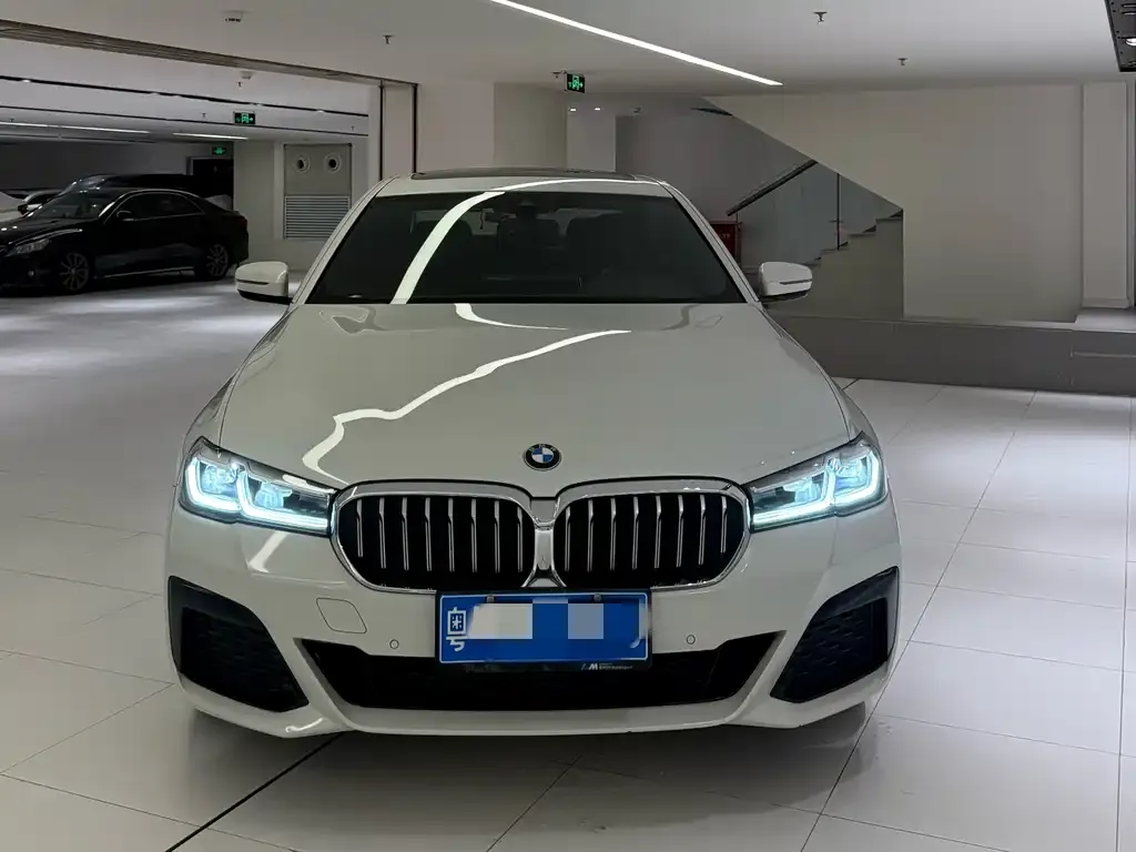 BMW 5 Series 2021 из CN, фото 6