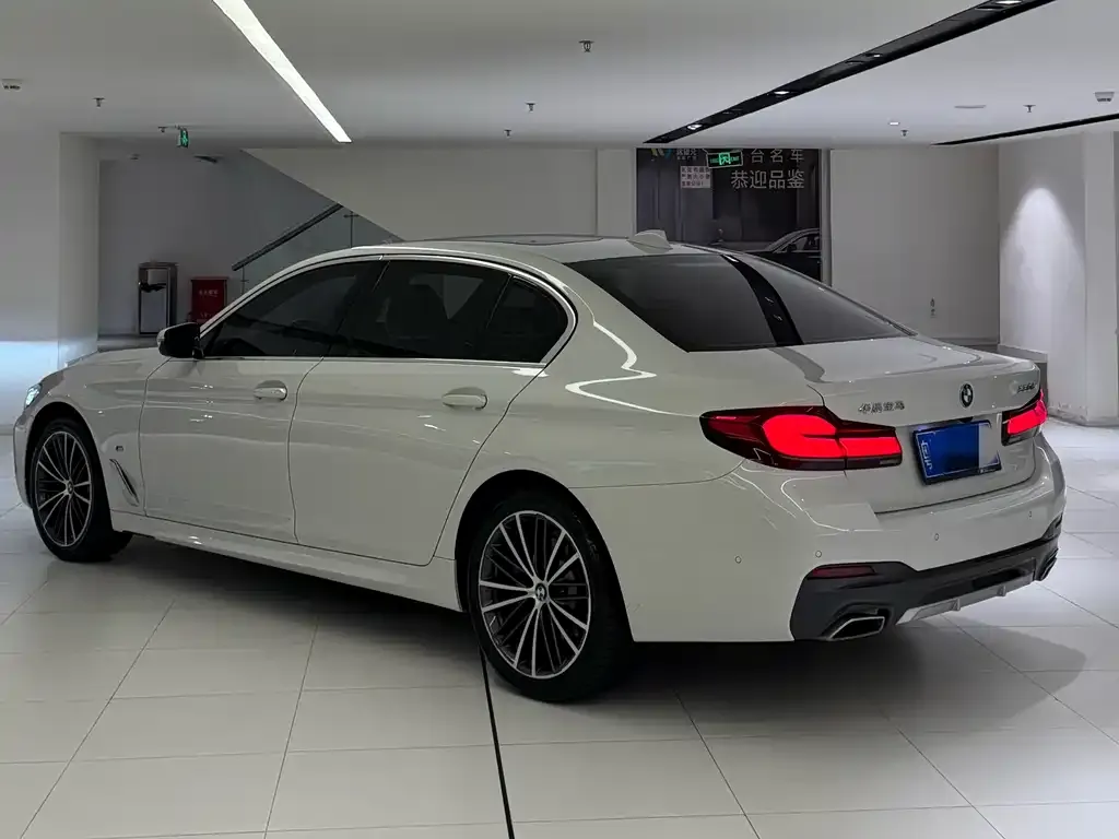BMW 5 Series 2021 из CN, фото 8