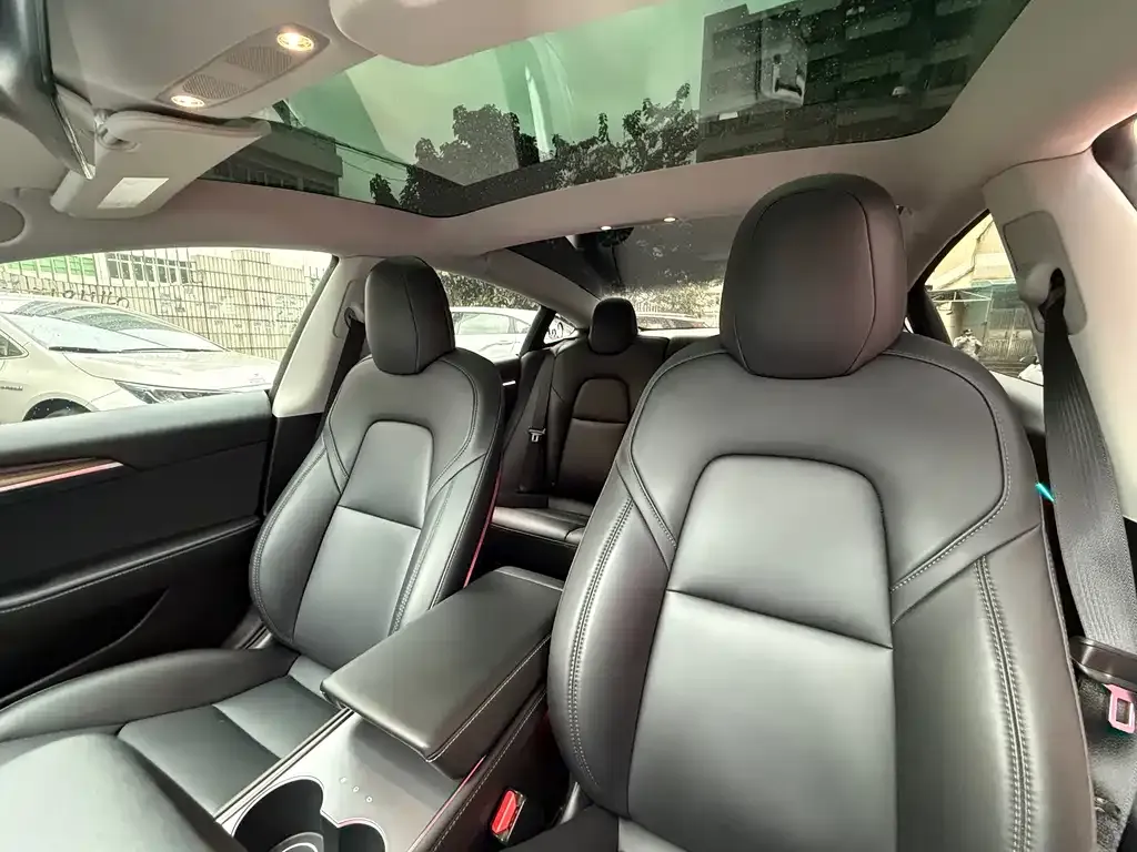 Tesla Model 3 2022 из CN, фото 6