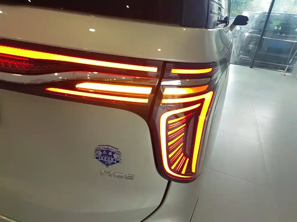 Hongqi HQ9 2023 из CN, фото 8