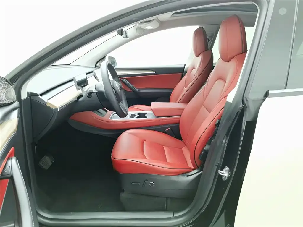 Tesla Model Y 2021 из CN, фото 10