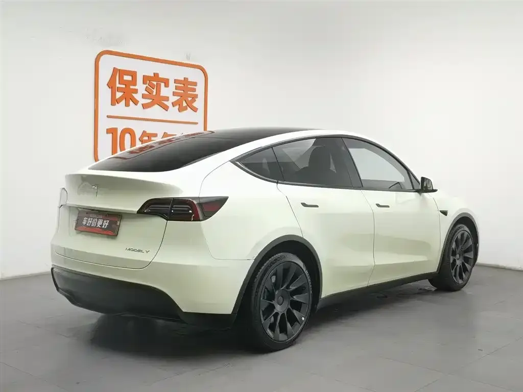 Tesla Model Y 2021 из CN, фото 2