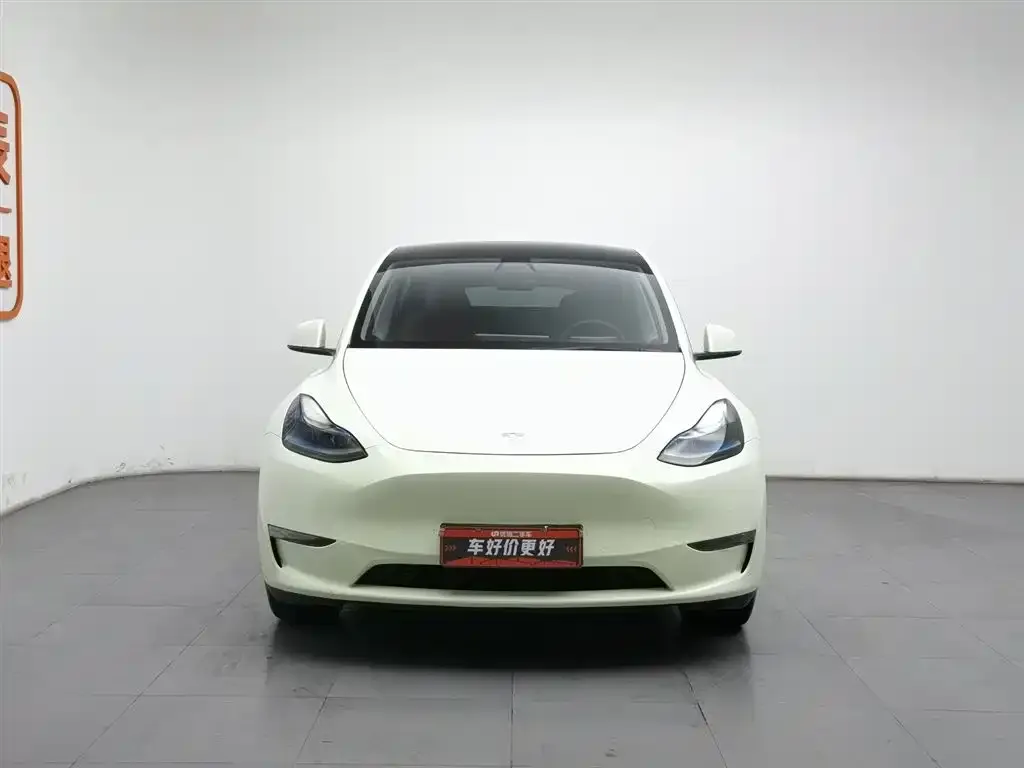 Tesla Model Y 2021 из CN, фото 3
