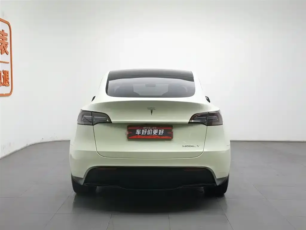 Tesla Model Y 2021 из CN, фото 4